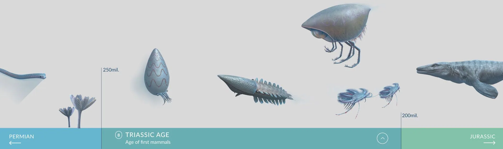 A strip of the interactive timeline: reconstructed Triassic sea creatures floating above a coloured bar marking the Permian, Triassic and Jurassic periods.